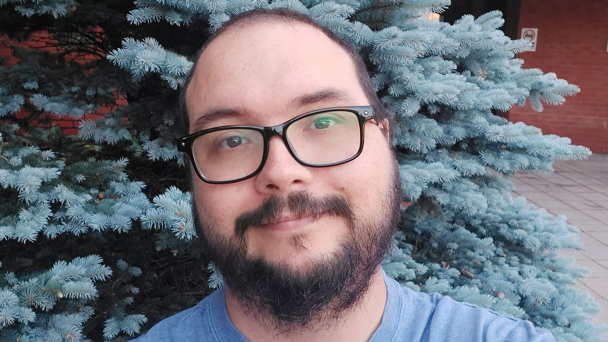 A man is dressed in a t-shirt standing in front of a blue spruce